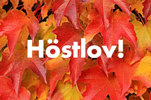 Bild på löv med texten höstlov