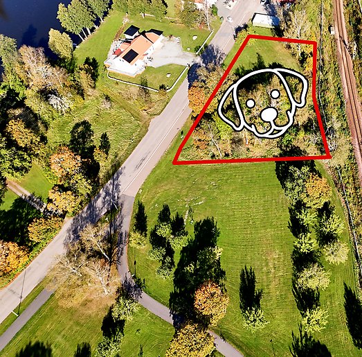 Bild visar flygfoto över hundpark i Surahammar